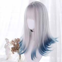 2 Packs Simple Style Gradient Color Casual Carnival Stage High Temperature Wire Bangs Long Straight Hair Wig Net