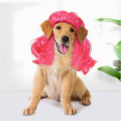 6 Packs Simple Style Polyester Solid Color Pet Wig